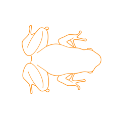 Animals Frogs Golden Poison Frog Outline Svg File, Free Vectors File